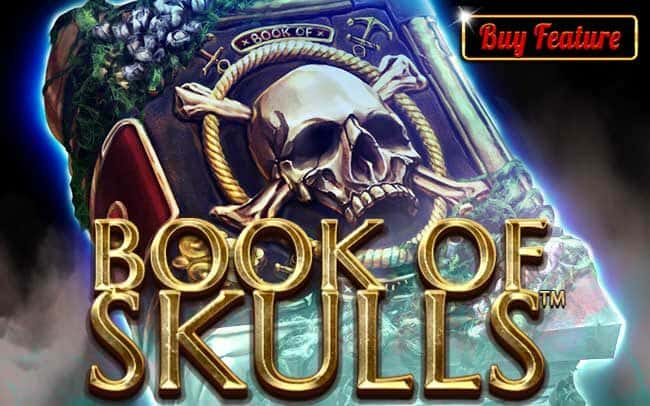 Book Of Skulls