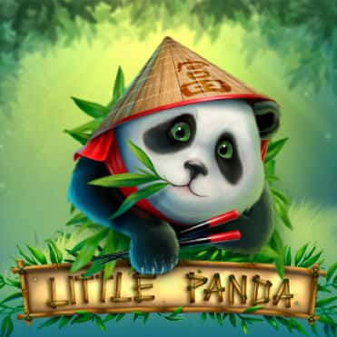 Little Panda