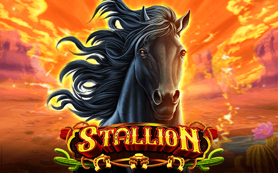 Stallion