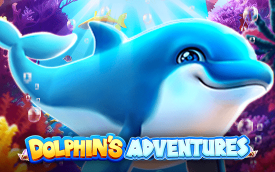 Dolphin Adventures